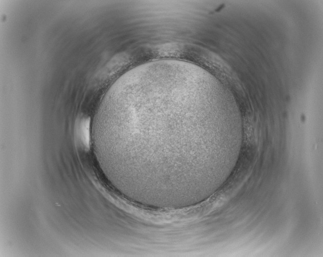 X0000060750028200511101127