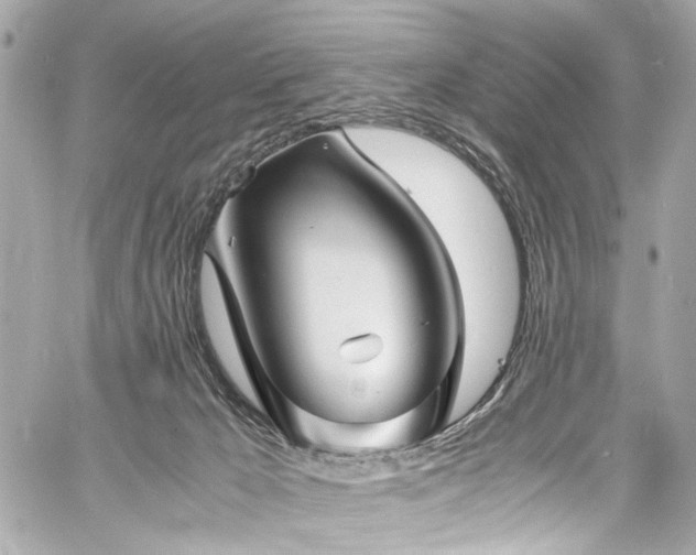 X0000060750029200511101127