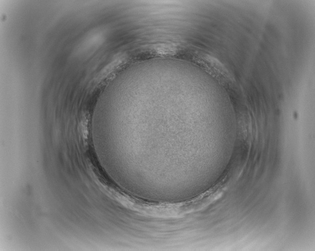 X0000060750032200511101127