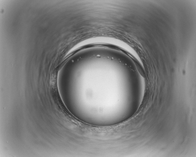 X0000060750033200511101127