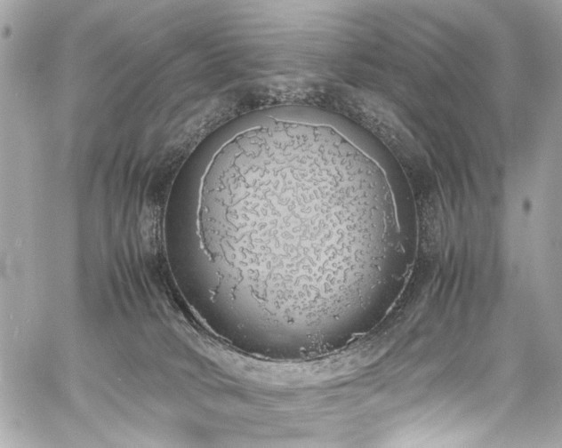 X0000060750034200511101127