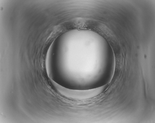 X0000060750035200511101127