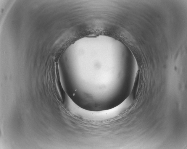 X0000060750037200511101127