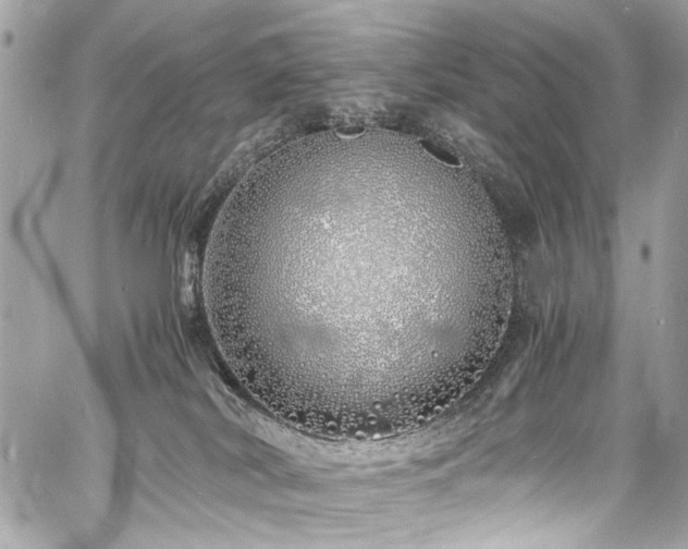 X0000060750038200511101127