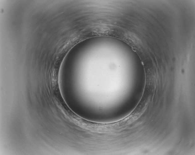 X0000060750040200511101127