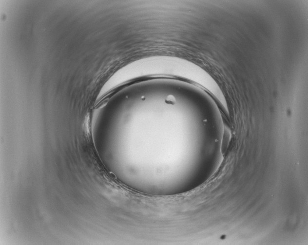 X0000060750041200511101127