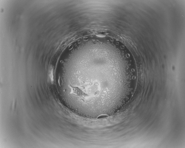 X0000060750042200511101127