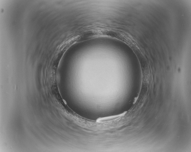 X0000060750043200511101127