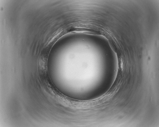 X0000060750044200511101127