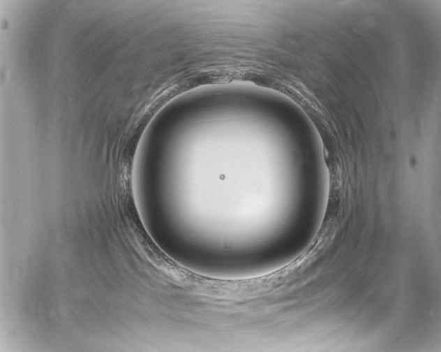 X0000060750045200511101127