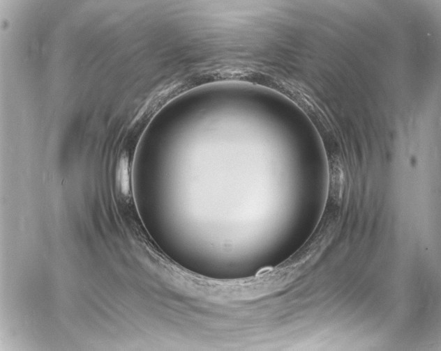 X0000060750046200511101127