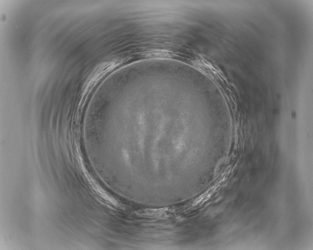 X0000060750049200511101126