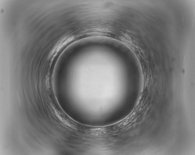 X0000060750050200511101126