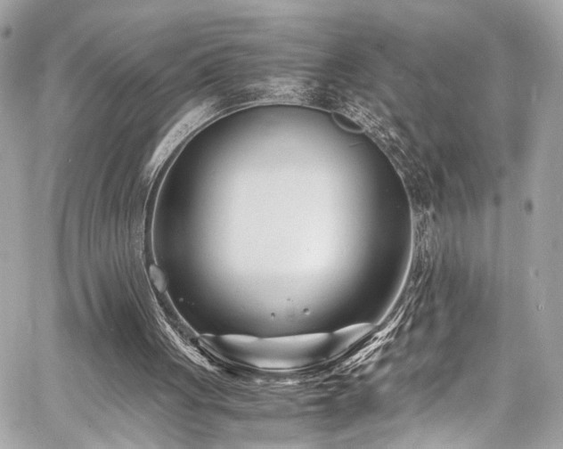 X0000060750051200511101126