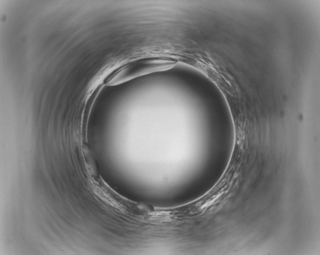 X0000060750052200511101126