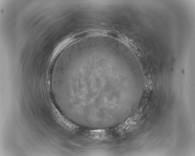 X0000060750053200511101126