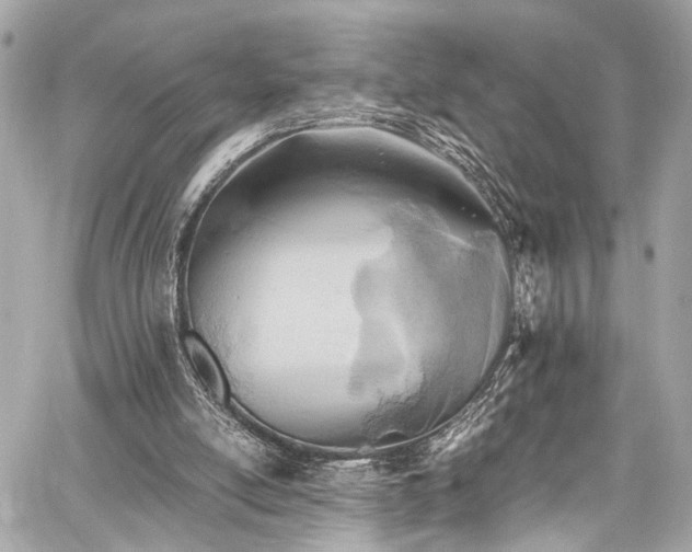 X0000060750054200511101126