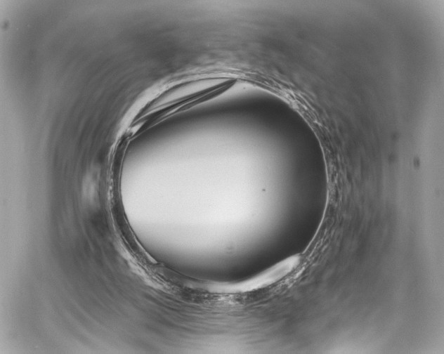 X0000060750056200511101126