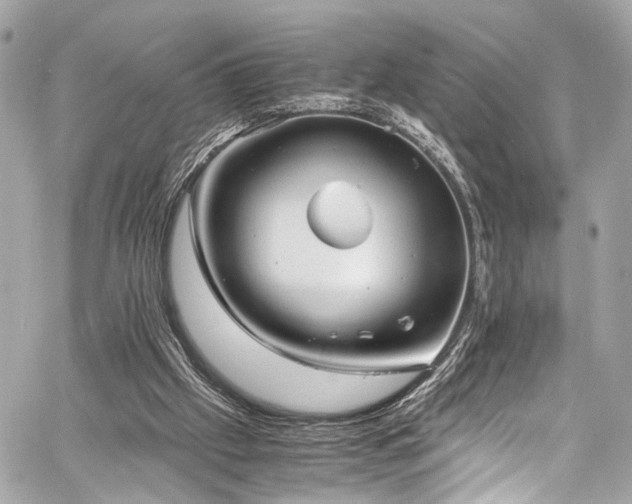 X0000060750057200511101126