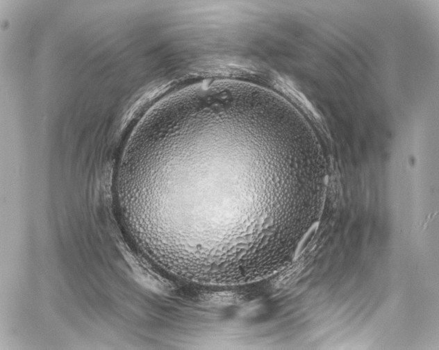 X0000060750058200511101126