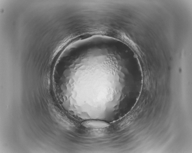 X0000060750059200511101126