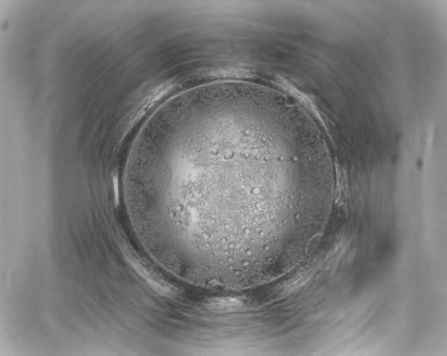 X0000060750061200511101126