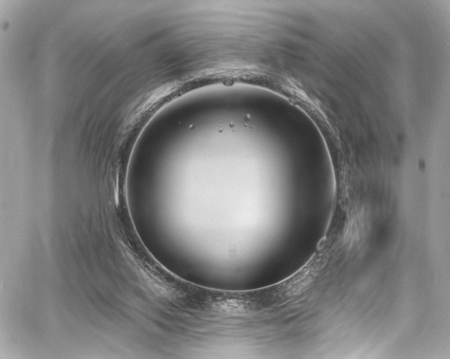 X0000060750062200511101126