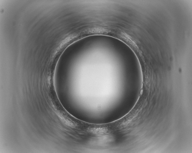 X0000060750063200511101126