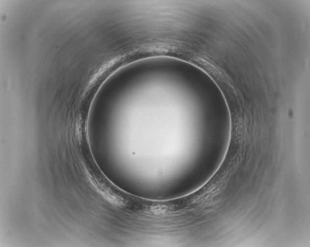 X0000060750064200511101126