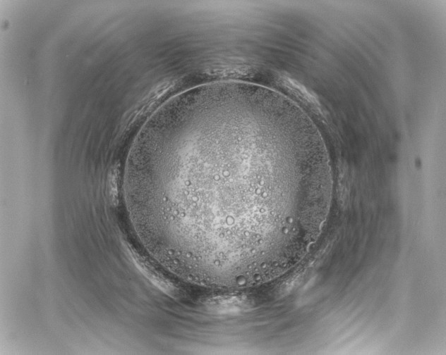 X0000060750065200511101126