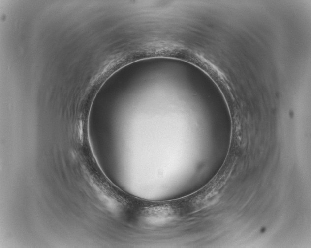 X0000060750067200511101126