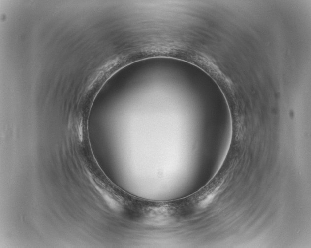 X0000060750068200511101126