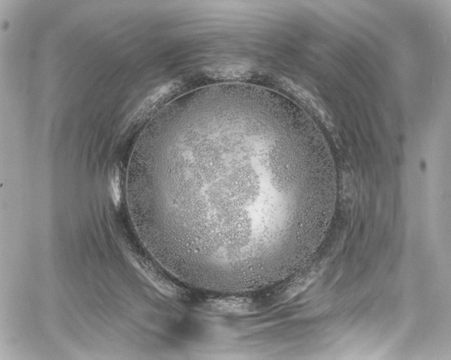 X0000060750069200511101126