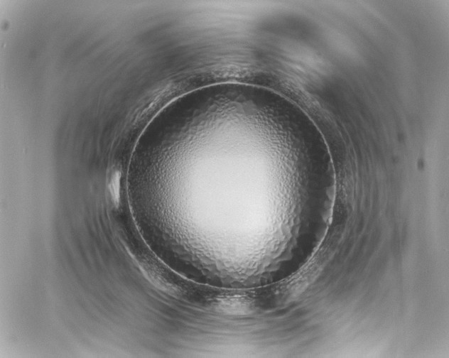 X0000060750070200511101126