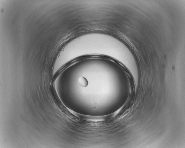 X0000060750071200511101126