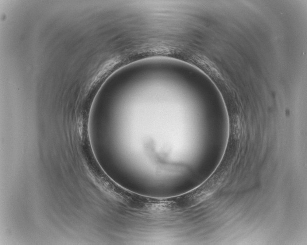 X0000060750072200511101126