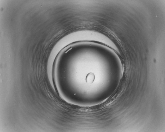 X0000060750073200511101126