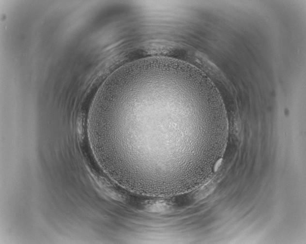 X0000060750074200511101126