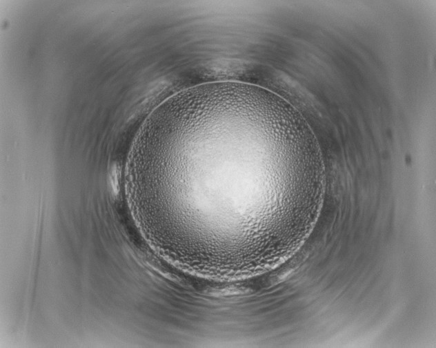 X0000060750075200511101126