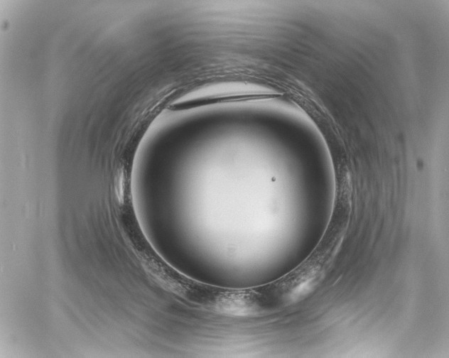 X0000060750076200511101126