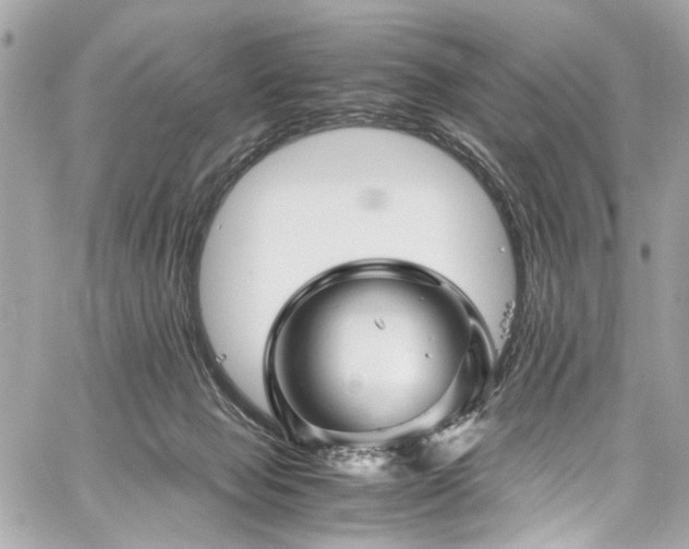 X0000060750077200511101126