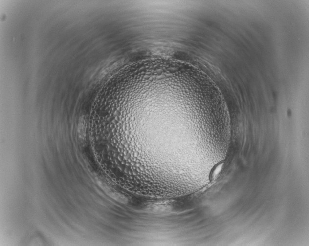 X0000060750078200511101126