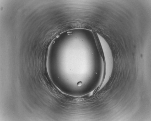 X0000060750080200511101126