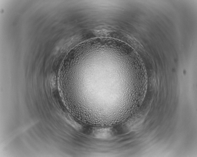 X0000060750081200511101126