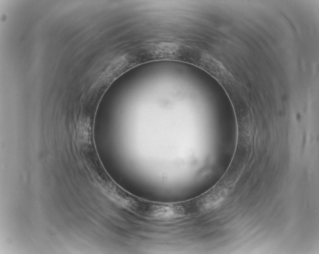 X0000060750083200511101126