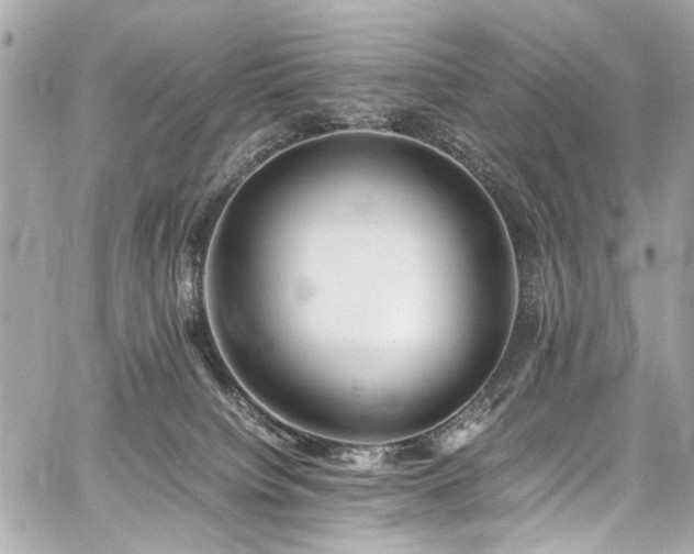 X0000060750084200511101127