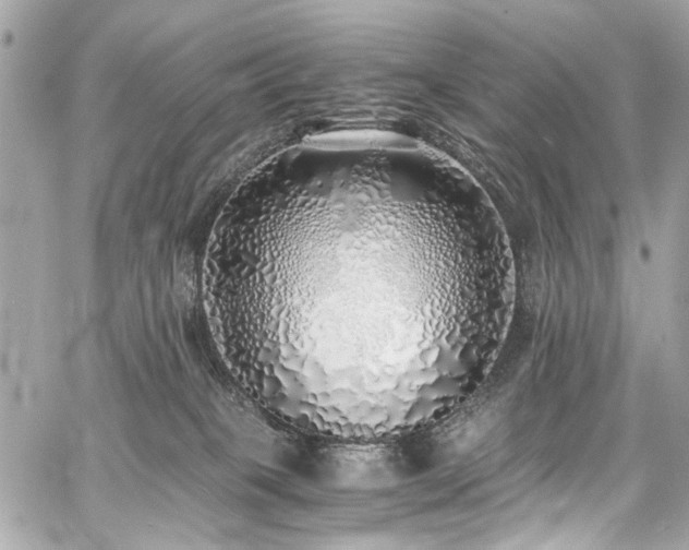 X0000060750085200511101127