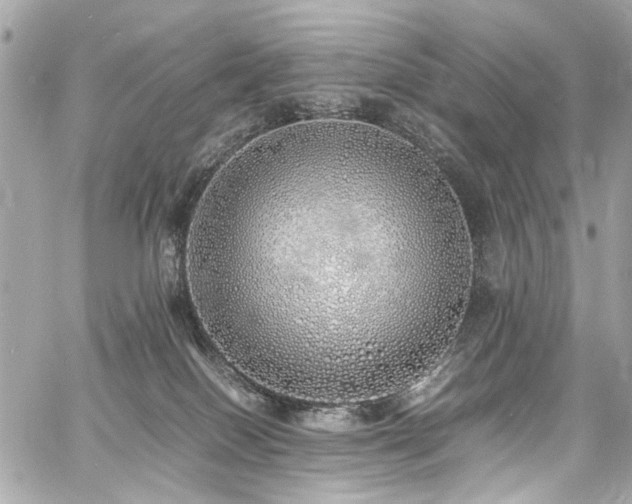 X0000060750086200511101127