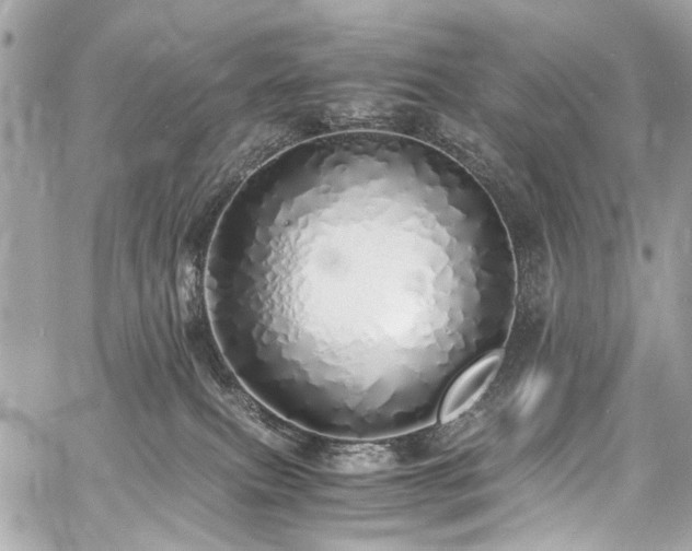 X0000060750087200511101127