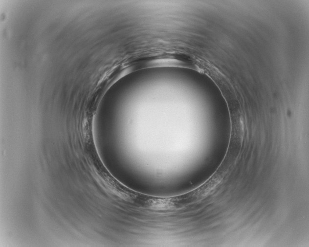 X0000060750088200511101127